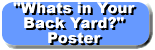 What's in Yor Backyard? Poster